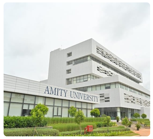 amity university (3)